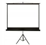 Ekran projekcyjny na statywie 200X200 